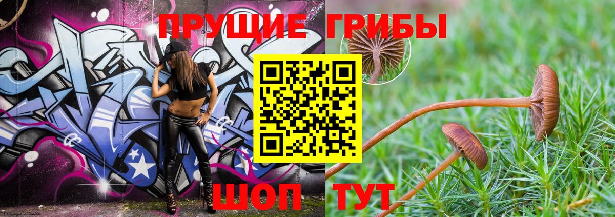 Галлюциногенные грибы мицелий  Вход с VPN  Протвино 
